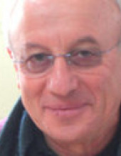 arie-zigler